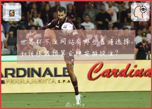 世界杯下注网站有哪些靠谱选择，如何根据预算合理安排投注？