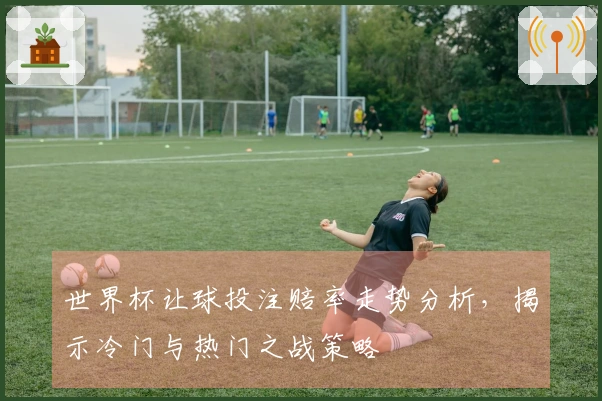 世界杯让球投注赔率走势分析，揭示冷门与热门之战策略