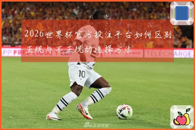 2026世界杯官方投注平台如何区别正规与不正规的选择方法
