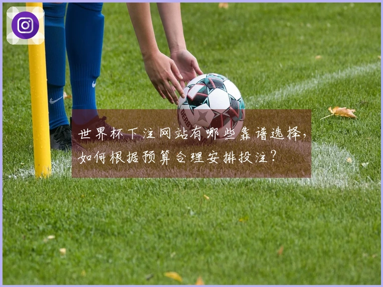 世界杯下注网站有哪些靠谱选择，如何根据预算合理安排投注？
