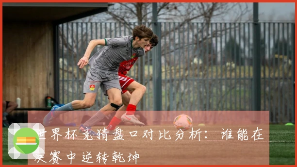 世界杯竞猜盘口对比分析：谁能在决赛中逆转乾坤