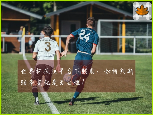 世界杯投注平台下载前，如何判断赔率变化是否合理？