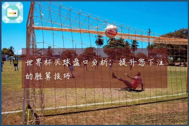 世界杯买球盘口分析：提升您下注的胜算技巧