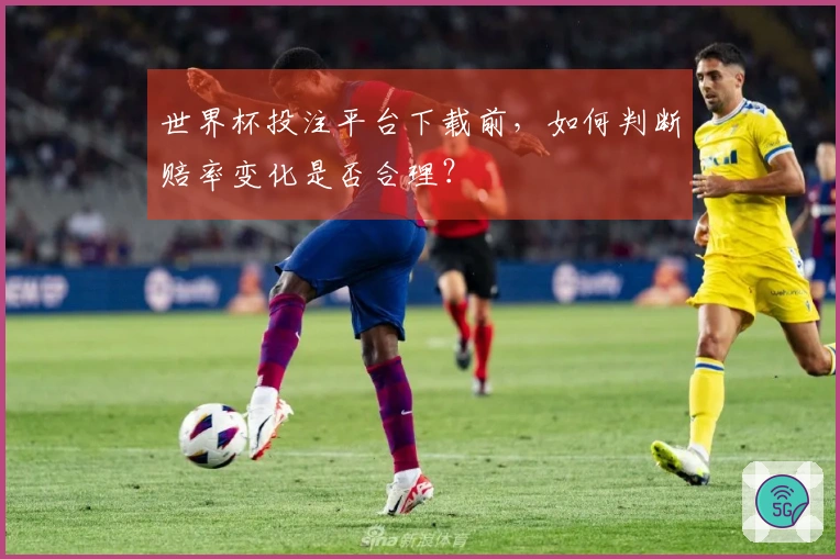 世界杯投注平台下载前，如何判断赔率变化是否合理？