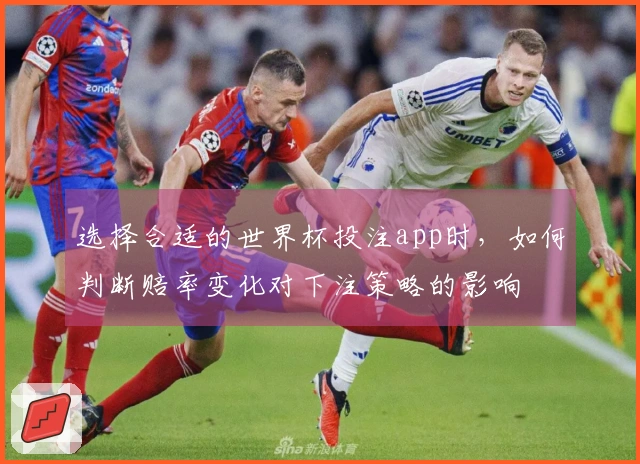 选择合适的世界杯投注app时，如何判断赔率变化对下注策略的影响