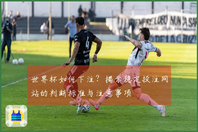 世界杯如何下注？揭示稳定投注网站的判断标准与注意事项