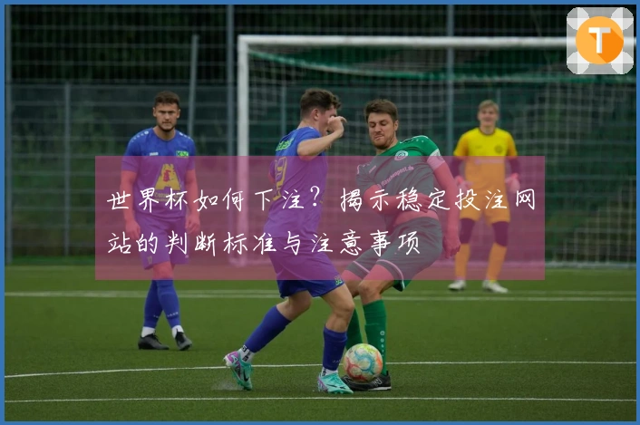 世界杯如何下注？揭示稳定投注网站的判断标准与注意事项