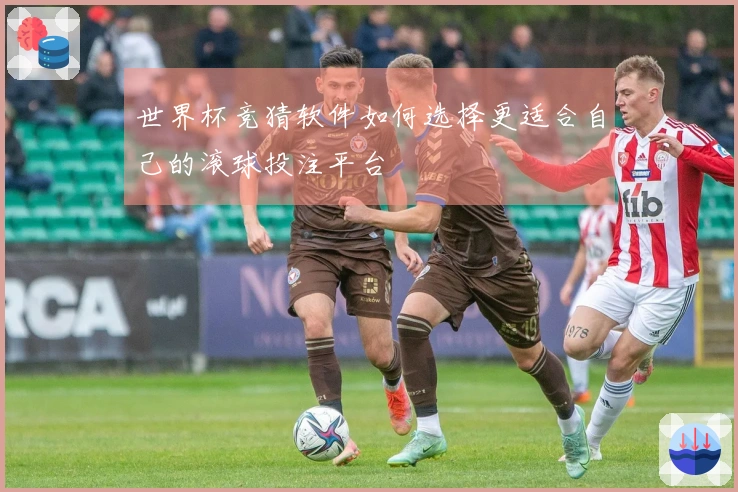 世界杯竞猜软件如何选择更适合自己的滚球投注平台